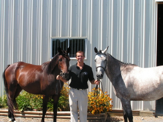 Anglo Arabian mares after passing American Trakehner Association Inspection with handler David Linn