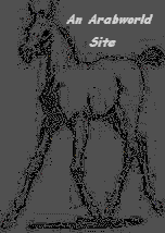 Arabworld Sites